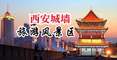 黄色网站大片儿,四川的小骚逼。中国陕西-西安城墙旅游风景区